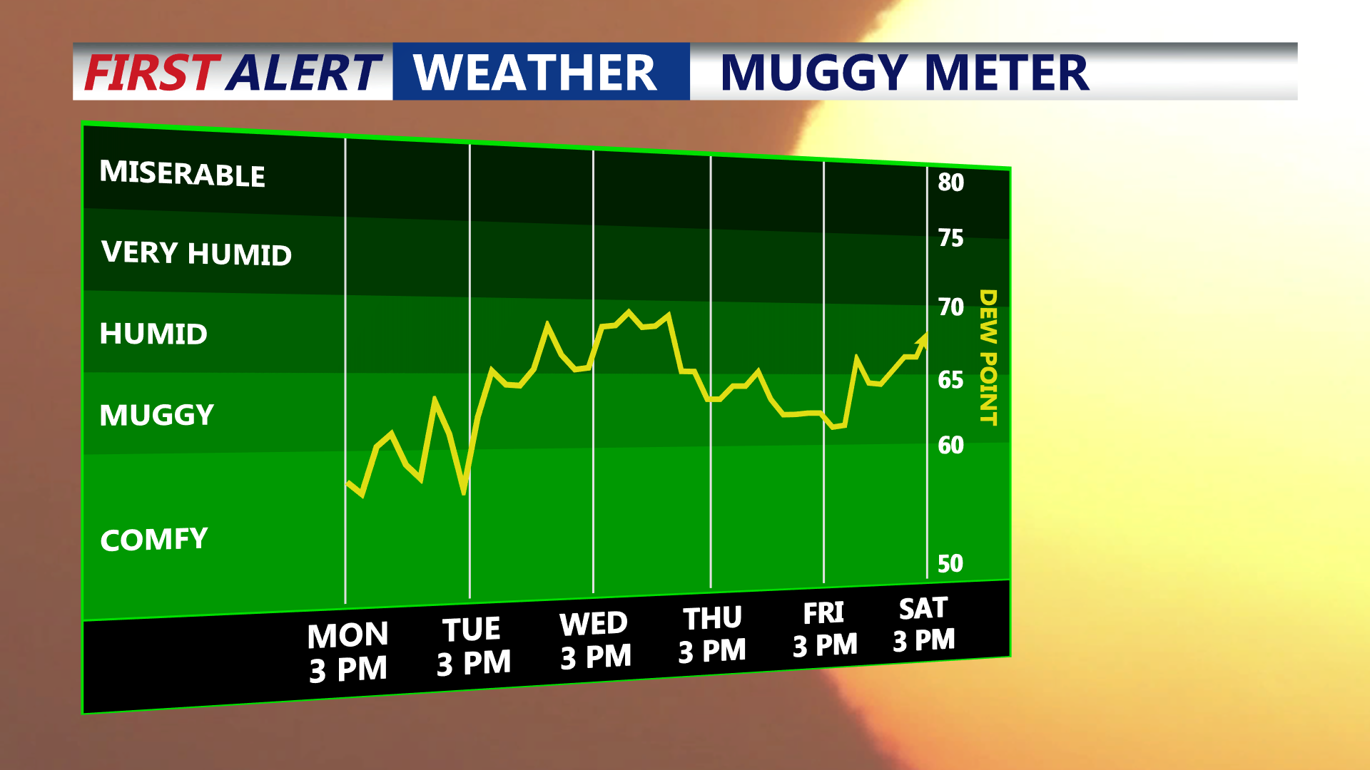 MUGGY METER